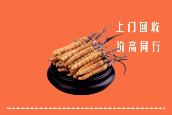 高价求购：双鸭山市岭东区回收散虫草